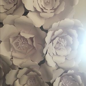 Meet your Posher, Genovia